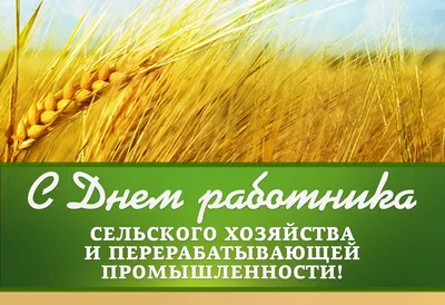 ПОЗДРАВЛЕНИЕ АКИМА РАЙОНА ГАЙДАРА КАСЕНОВА С ДНЕМ РАБОТНИКОВ СЕЛЬСКОГО  ХОЗЯЙСТВА