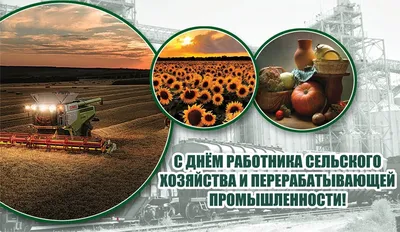 А ГРУПП» поздравляет с Днем работника сельского хозяйства и  перерабатывающей промышленности!