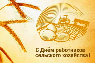 Поздравление Константина Клюки с Днем работника сельского хозяйства и  перерабатывающей промышленности - Агропромышленный холдинг «ПРОМАГРО»
