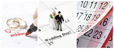 Регистрация брака – день в день - Гатчинская правда