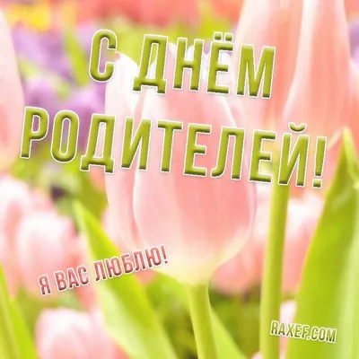 1 ИЮНЯ - Международный день защиты детей и Всемирный день родителей |  Новости | Пресс-центр | Гродненский государственный медицинский университет