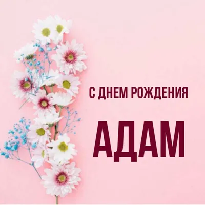 С Днём Рождения, Адам! (53) | Всероссийский сайт поклонников U2