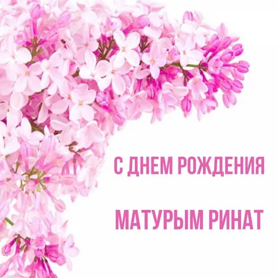 El Descanso - Студія танців - 🌷🌷🌷@Альмира Сафина, С Днём Рождения!🌷🌷🌷  Желаю, чтобы в твоей душе всегда было равновесие, а гармония с окружающим  миром делает твою жизнь легкой и счастливой. 🤩🤩Пускай сбывается