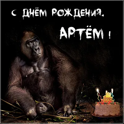 ВСЕЗНАЙКИ: С Днём рождения, Артём!