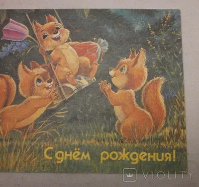 Советские открытки с белками - 70 фото