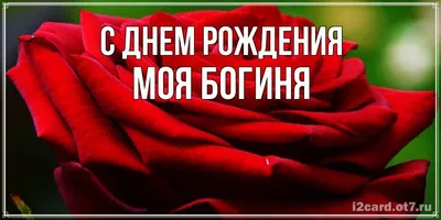 Открытка с именем Моя богиня С днем рождения роза вид сбоку. Открытки на  каждый день с именами и пожеланиями.