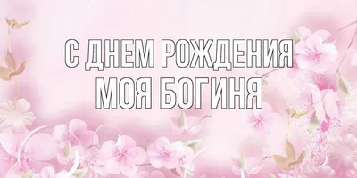 Оля, ну сколько лет, такая и открытка! 💖 С днем рождения наша кошка, богиня,  джинсовая королева и знаток всех.. | ВКонтакте