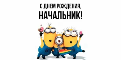 Набор шаров руководителю на день рождения Супер босс купить в Москве за 9  970 руб.