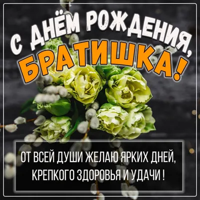 Открытка старшему Брату с Днём рождения, с цветами • Аудио от Путина,  голосовые, музыкальные