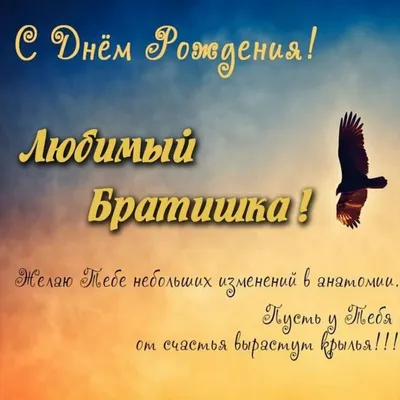 Поздравления с днем рождения брату: стихи, проза, открытки - МЕТА