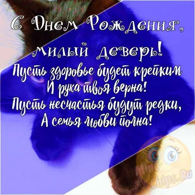 Подарить прикольную открытку с днём рождения деверю онлайн - С любовью,  Mine-Chips.ru