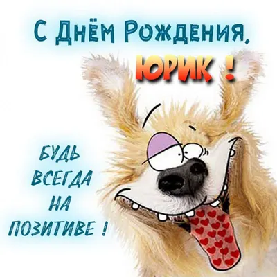 Открытка: Кот Матроскин и пёс Шарик из Простоквашино поздравляют | Смешные  поздравительные открытки, С днем рождения, С днем рождения дядя