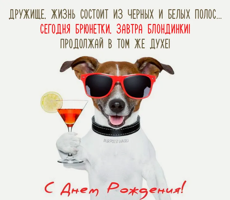 Каптёрка| Страница 234 | DarkOrbit RU
