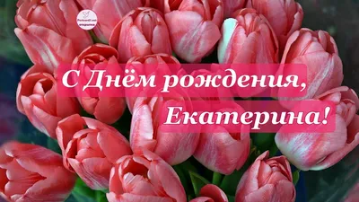 С днем рождения, Екатерина Александровна!