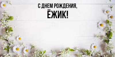 Открытка день рождения ежик в Доме Солнца