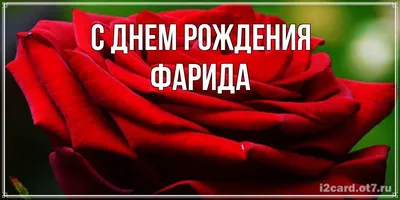 Кружка \"Фарида. С днем рождения. BOSS\", 330 мл - купить по доступным ценам  в интернет-магазине OZON (1087434883)