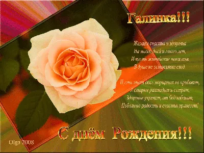 Pin by Tatyana on С Днём Рождения !!! | Rose flower pictures, Rose flower  wallpaper, Rose flower arrangements