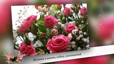 Поздравление с днем рождения Галине: прикольные фото - pictx.ru