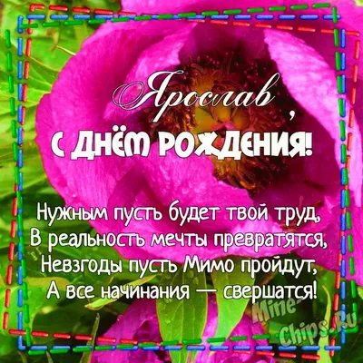 Сегодня своё 35-летие отмечает Ярослав... | Интересный контент в группе  ГЛАЗА зеркало ДУШИ (статусы,юмор,гиф) | С днем рождения, Поздравительные  открытки, День рождения