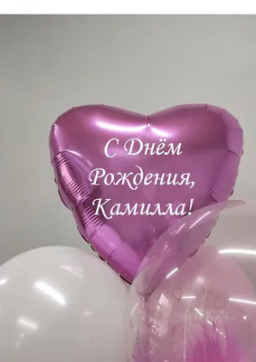 Набор воздушных шаров с именем Камилла на день рождения, шарики для  праздника в подарок детям, цифра - купить в интернет-магазине OZON с  доставкой по России (862629015)