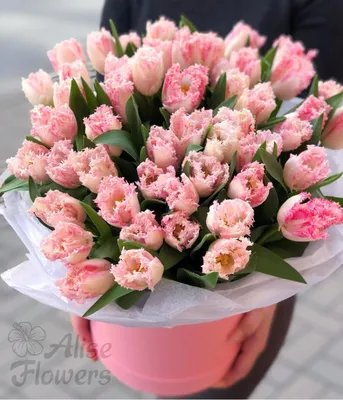Скачать обои С Днем Рождения розовые тюльпаны на рабочий стол из раздела  картинок С Днем Рождения Женщине