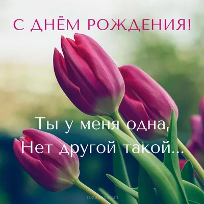 Тюльпаны для женщины — открытка | С днем рождения, Открытки, Рождение