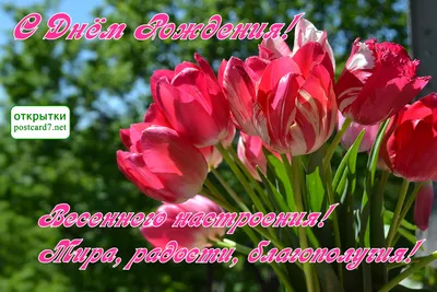 Розовые тюльпаны и письма золота с днем рождения на белой задней части  мрамора Стоковое Фото - изображение насчитывающей минимально, празднично:  116824552