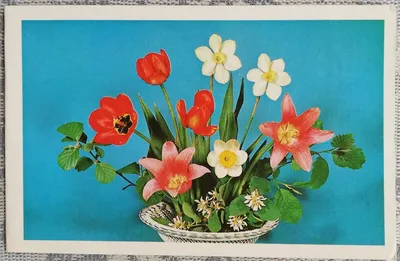 Открытки с тюльпанами с Днем Рождения (50 штук)