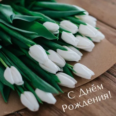 открытка с тюльпанами с днем рождения | Цветы на рождение, С днем рождения,  Открытки