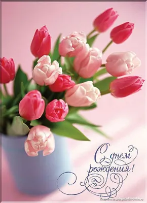 ✿ Букет из 101 белого тюльпана ✿- купить с доставкой ❤