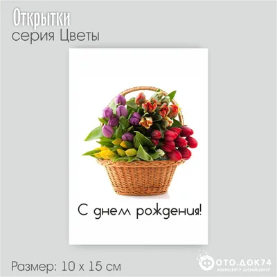 Открытка-обложка \"С Днём Рождения! Тюльпаны и бабочка\"