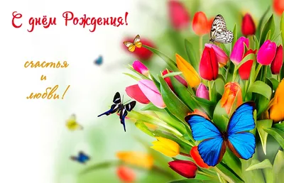 Открытки к празднику - Разноцветные тюльпаны, открытка на День рождения.  https://www.postcard7.net/с-др-открытки-галерея-1/разноцветные-тюльпаны-открытка-др/  #открыткасднёмрождения #сднёмрождения | Facebook