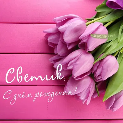 101 нежный тюльпан | доставка по Москве и области