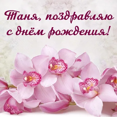 Открытка с орхидеями с днем рождения женщине (скачать бесплатно)