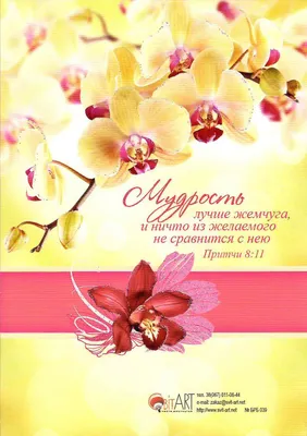 САМОЕ КРАСИВОЕ ПОЗДРАВЛЕНИЕ ИЗ ОРХИДЕЙ! | Орхидеи, Цветы на рождение, Цветы