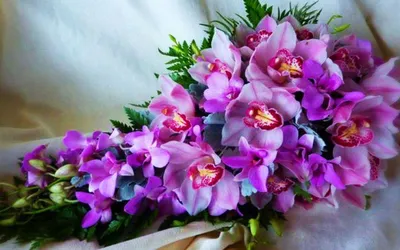Заказать с днем рождения букет орхидей FL-425 купить - хорошая цена на с  днем рождения букет орхидей с доставкой - FLORAN.com.ua