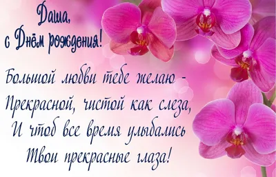 Купить Композиция из орхидей в корзине `Восхищение` | Композиции из живых  орхидей | Композиции | Интернет-магазин орхидей и декоративных цветов в  Москве. У нас вы можете купить орхидеи с доставкой.