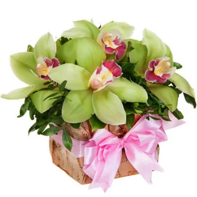 Картинки по запросу с днем рождения елена | Beautiful flowers images,  Orchid wallpaper, Beautiful flowers