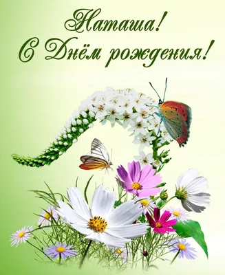 Открытка с днем рождения, бабочка, цветы (24 лучших фото)