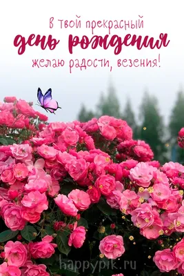Фотозона \"Крылья бабочки\" – Arenda Decora
