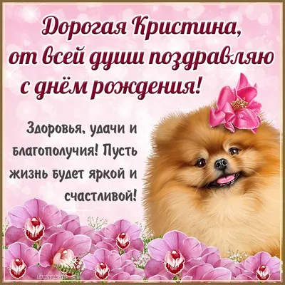 ДЕЛАЮ⭐️ИЗ ВАШИХ ПИТОМЦЕВ🐶🐱 on Instagram: \"С ДНЕМ РОЖДЕНИЯ🥳🎉 У этого  красавчика, нашего гостя #шпиц а РИЧАРДА🥳 сегодня день рождения🌟 Для  поднятья настроенья, Как поздравим мы его? Сделаем ему комплекс с маской?  Или