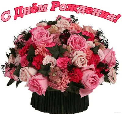 FC Akhmat Grozny on X: \"Поздравляем с Днём Рождения нашего полузащитника  Халида Кадырова! Желаем счастья, удачи и успехов! Дала декъала войла хьо  винчу денца, Халид! 🎂🎂🎂 https://t.co/QeXDdVOHU2\" / X