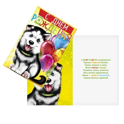 Картинка С днем рождения Кузя. хаски обнимаются . собачки в упряжке  Конструктор открыток на каждый день.