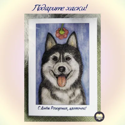 Поздравляем Светлану Кучереску с днем рождения! - СВОБОДНАЯ СТАЯ
