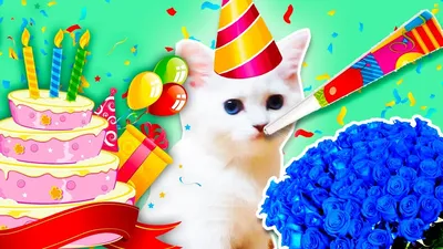 Кот поздравляет с днём рождения !!!#realmeWishList #Стабилизируй #Прик... |  TikTok
