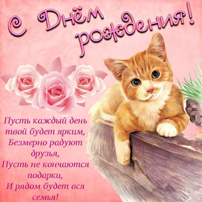 russian по низкой цене! russian с фотографиями, картинки на с днем рождения  кошки images.alibaba.com