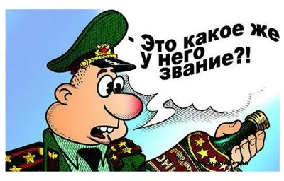 Сегодня свой День Рождения отмечает командир батальона «Оплот», полковник…  | Фронт Захара Прилепина | Дзен