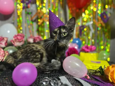 PrinTort Вафельная картинка для торта с днем рождения кошки котята