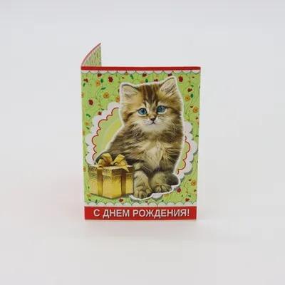 котенок в ромашках - подарок Кате | С днем рождения, День рождения, Открытки