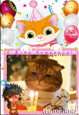 Открытка с днем рождения, радужный кот - купить с доставкой в  интернет-магазине OZON (1068485008)